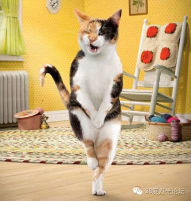 魏铭哲-我选择灯具的一些要求