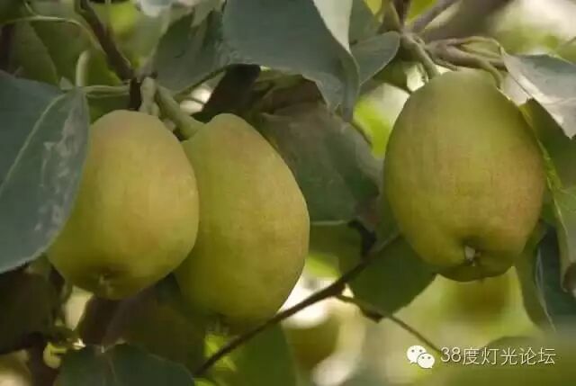 天堂很远，新疆很近，光影新疆行。7月15-7月27