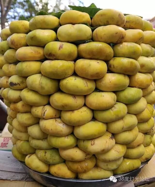 天堂很远，新疆很近，光影新疆行。7月15-7月27