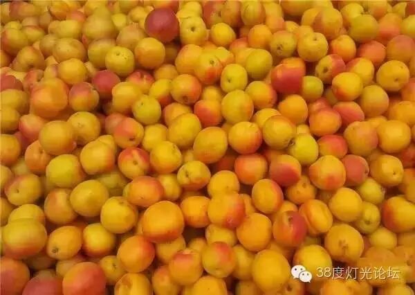 天堂很远，新疆很近，光影新疆行。7月15-7月27