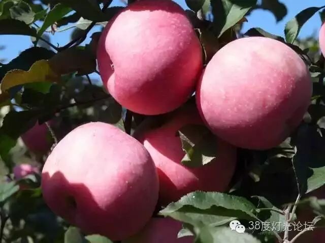 天堂很远，新疆很近，光影新疆行。7月15-7月27