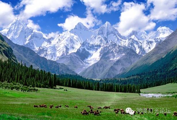 天堂很远，新疆很近，光影新疆行。7月15-7月27