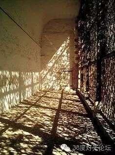 【收藏】建筑自然光影集