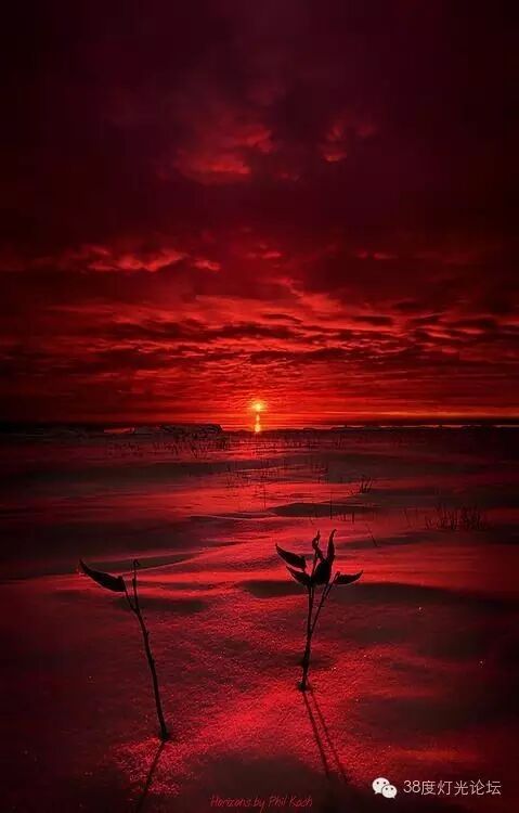 光，色 五部曲之红