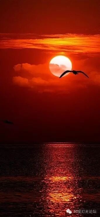 光，色 五部曲之红