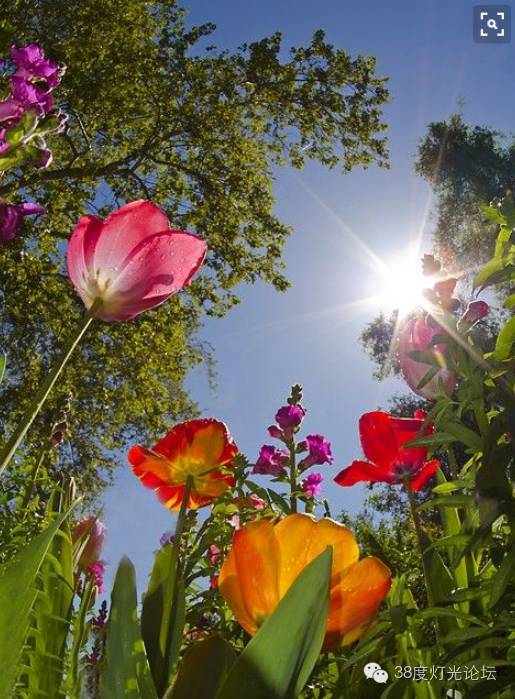 杂谈 “照明设计师证”你还能忽悠多远？