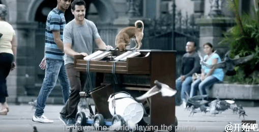 他带着一条狗,推着一架钢琴,帅气地走遍了世界【山东建筑材料网络社区