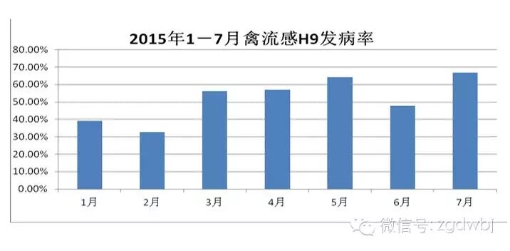 对禽流感分析后，8月你该这么做