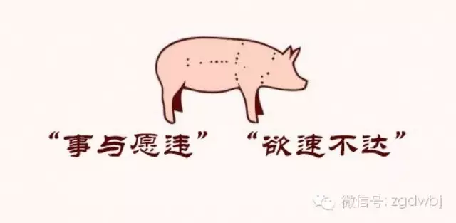 我国猪业中的“事与愿违”和“欲速不达”