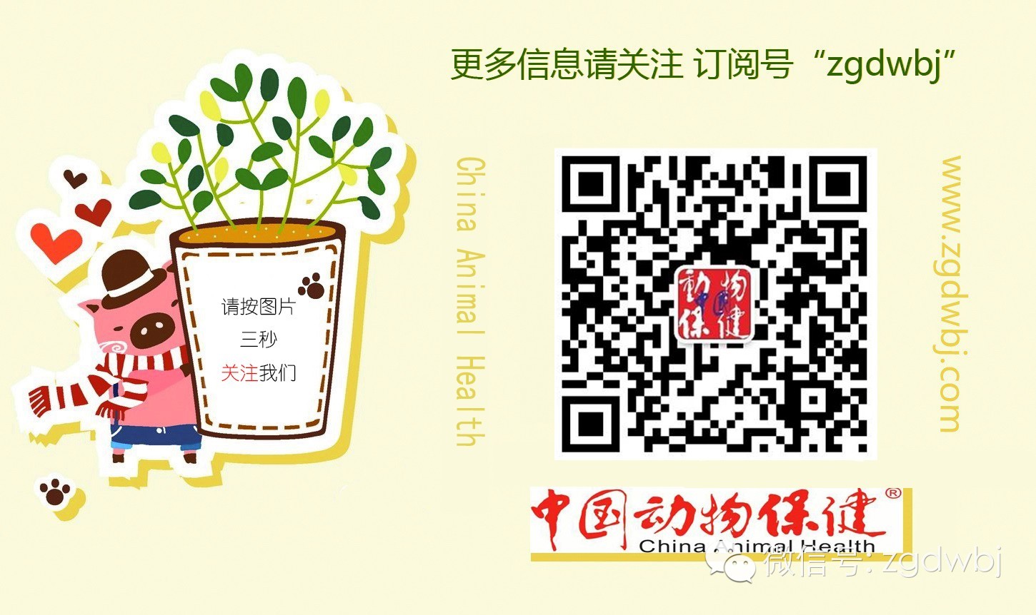 对禽流感分析后，8月你该这么做