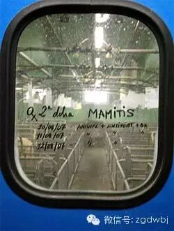 猪舍门窗还可以干这个......