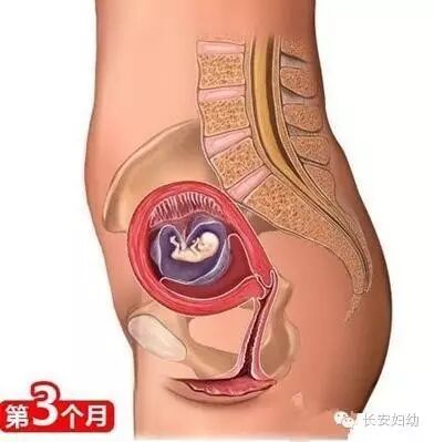 【爱健康】准妈妈必知:怀孕三个月需要注意哪些检查?-怀孕期