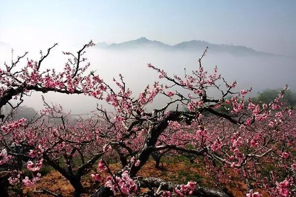 省、市、县常委人数_汨罗江在哪个省哪个县_中国有多少省,市,县