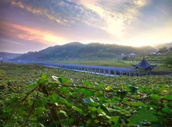 汨罗江在哪个省哪个县_省、市、县常委人数_中国有多少省,市,县