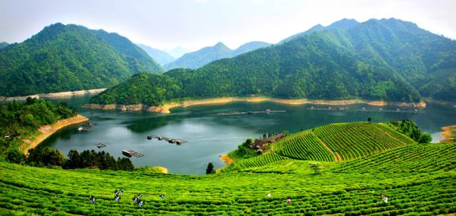 省、市、县常委人数_汨罗江在哪个省哪个县_中国有多少省,市,县