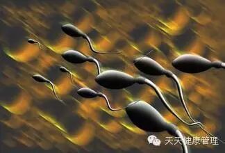 备孕家庭必看:男人精液是否异常 看九大症状-怀孕期