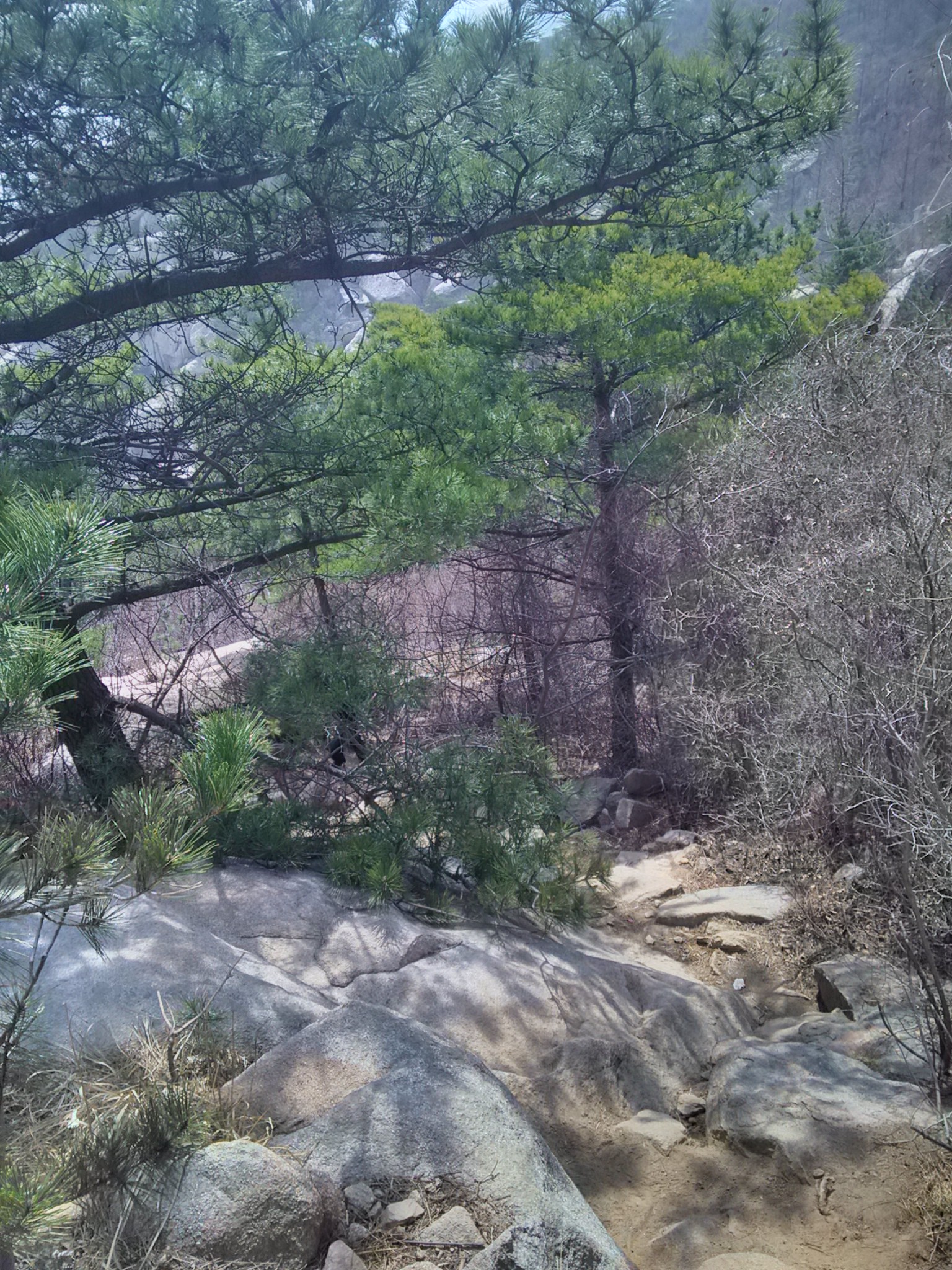 【崂山极美路线】长岭村-天心池-泉心河-仰口行程路线记录