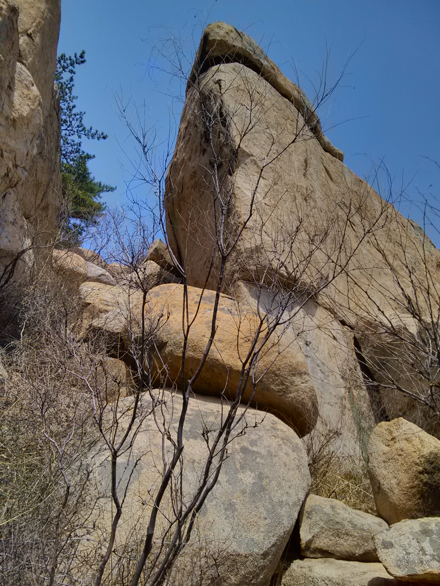 【崂山极美路线】长岭村-天心池-泉心河-仰口行程路线记录