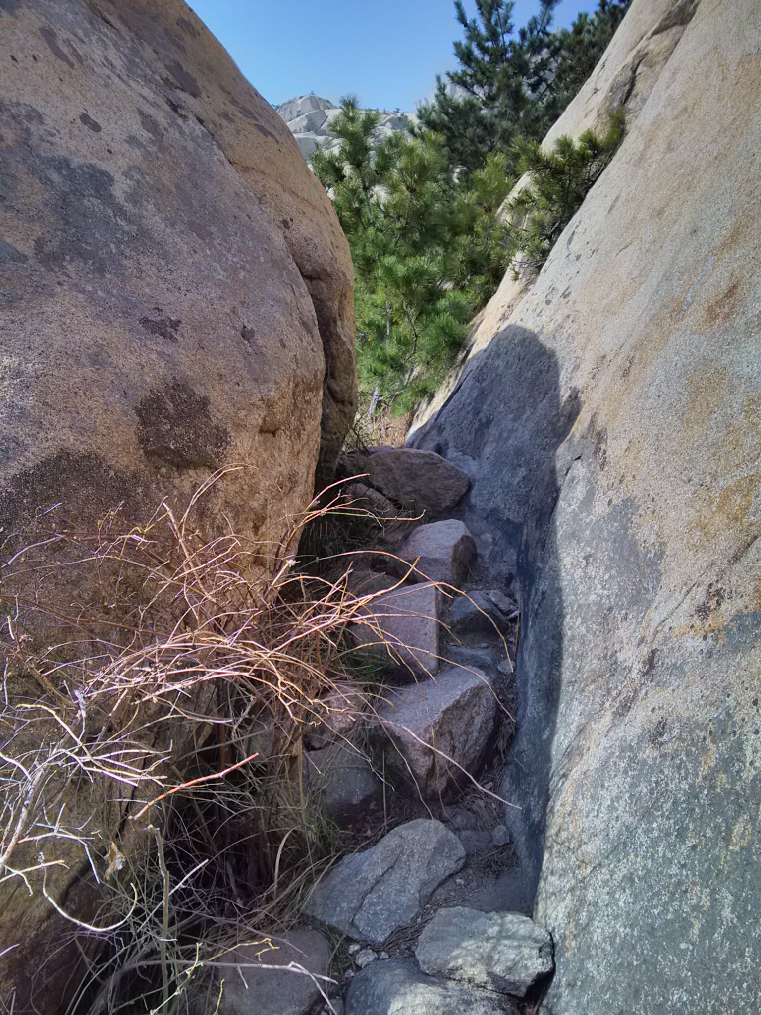 【崂山极美路线】长岭村-天心池-泉心河-仰口行程路线记录