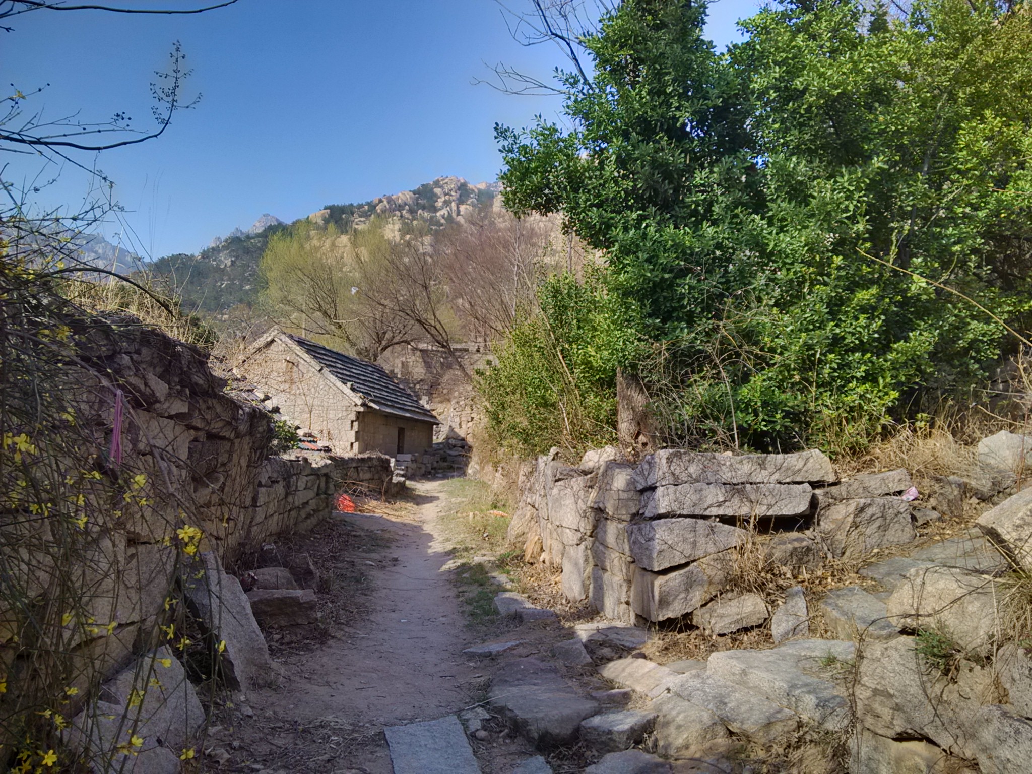 【崂山极美路线】长岭村-天心池-泉心河-仰口行程路线记录