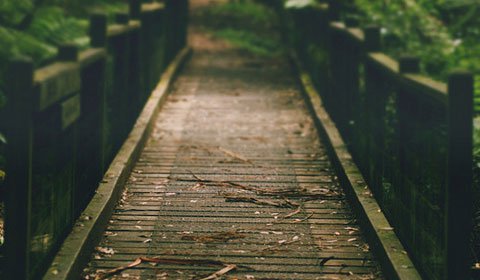 图文馆：我不能抛弃心-2013-12-23