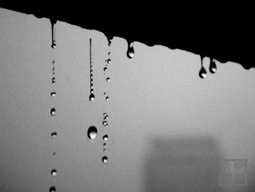 图文馆（18） | 某一天有什么俘虏我们的心