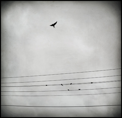 图文馆（18） | 某一天有什么俘虏我们的心