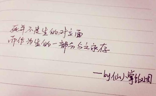 每周一抄 |  死并不是生的对立面，而是作为生的一部分与之永存