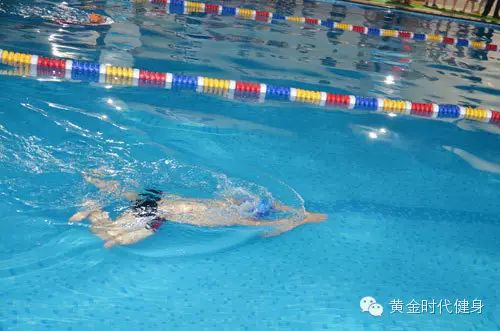 黄金时代天姿杯游泳黄金联赛淘汰赛圆满完成