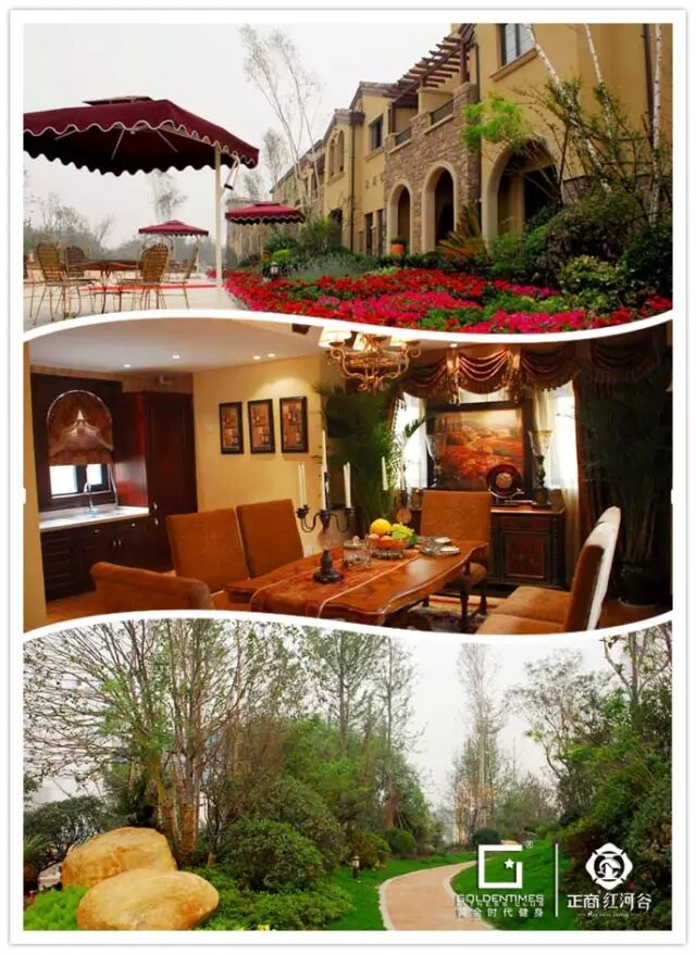 黄金时代两枚新星即将璀璨绽放