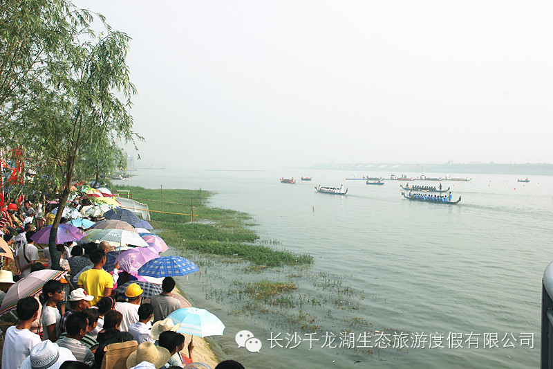 汨罗龙舟赛总决赛