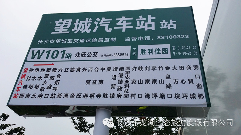 乔口渔都公交车路线
