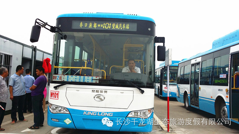 乔口渔都公交车