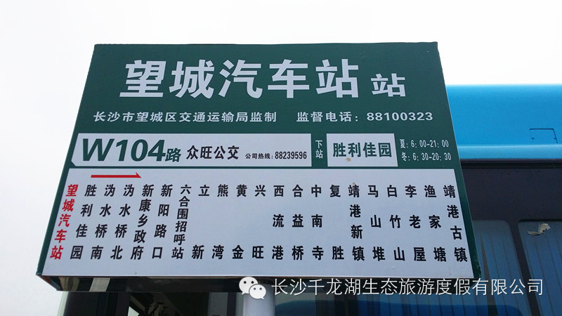 靖港古镇公交车路线