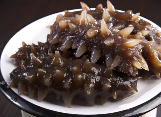 海参：为您提高免疫力