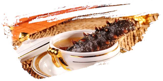 海参的神奇功效，您了解多少？