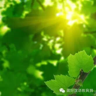 “妈妈”、“爸爸”这两个词语是什么时候出现的