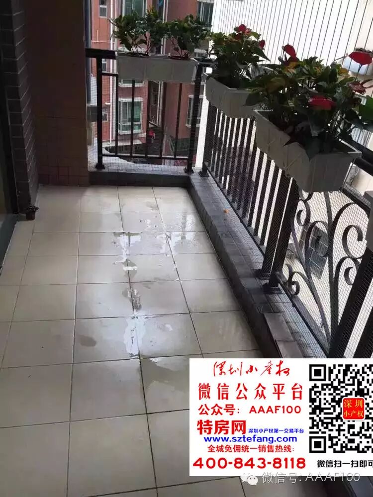 深圳北环中线村委统建花园分期三年!生二胎,买四房!-怀孕期