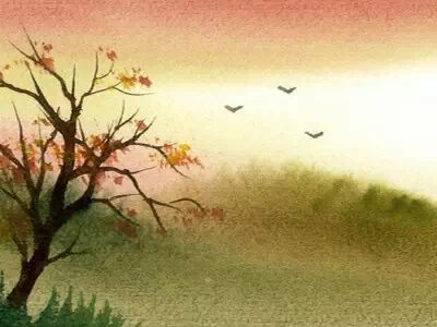 有些人，似假茶，不必在意