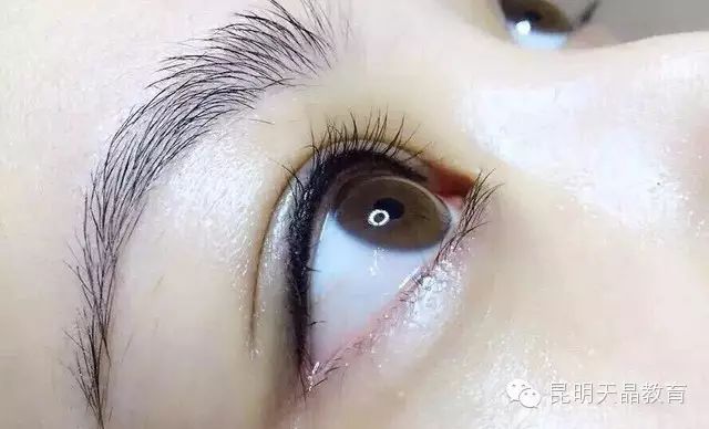 赵丽颖:做个眉毛算什么,我们都做半永久套餐了!