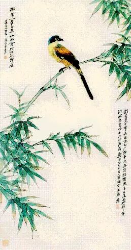 张大千笔下的青竹小鸟!