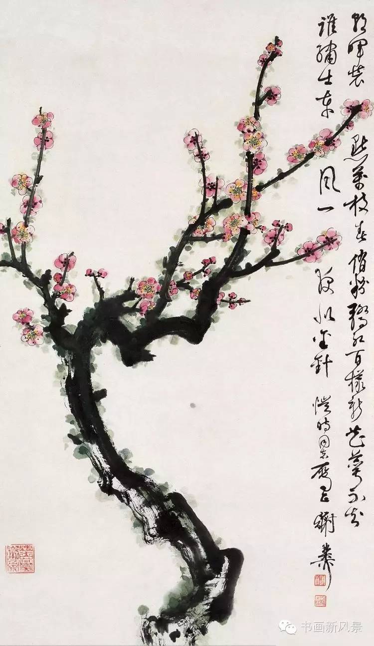 谢稚柳悦目赏心的30幅梅花!