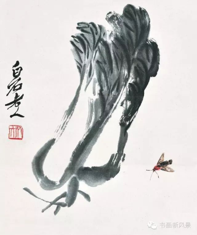齐白石的大白菜 笔墨下的别样情思 - xy - moyixuanbaili的博客 齐白石的大白菜 笔墨下的别样情思 - xy - moyixuanbaili的博客