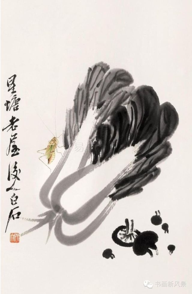 齐白石的大白菜 笔墨下的别样情思 - xy - moyixuanbaili的博客 齐白石的大白菜 笔墨下的别样情思 - xy - moyixuanbaili的博客
