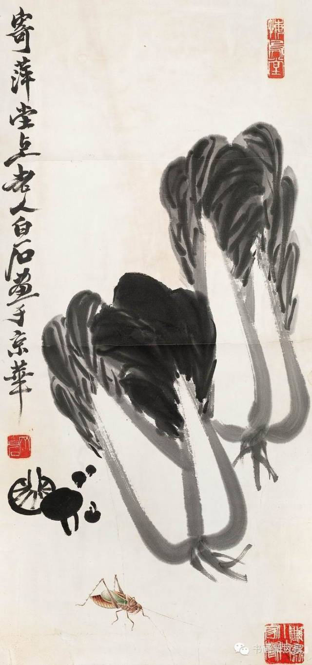 齐白石的大白菜 笔墨下的别样情思 - xy - moyixuanbaili的博客 齐白石的大白菜 笔墨下的别样情思 - xy - moyixuanbaili的博客