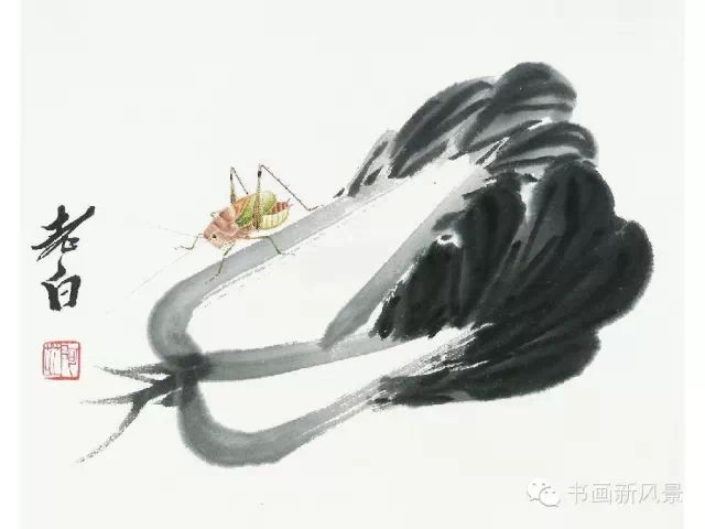 齐白石的大白菜 笔墨下的别样情思 - xy - moyixuanbaili的博客 齐白石的大白菜 笔墨下的别样情思 - xy - moyixuanbaili的博客