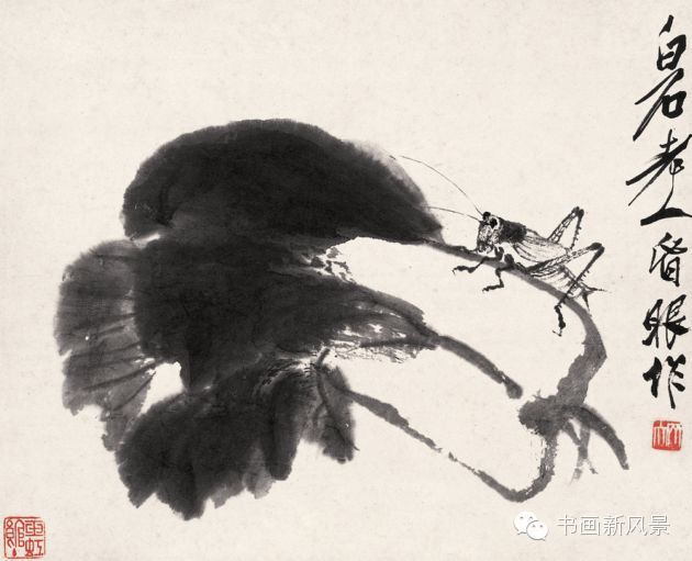 齐白石的大白菜 笔墨下的别样情思 - xy - moyixuanbaili的博客 齐白石的大白菜 笔墨下的别样情思 - xy - moyixuanbaili的博客