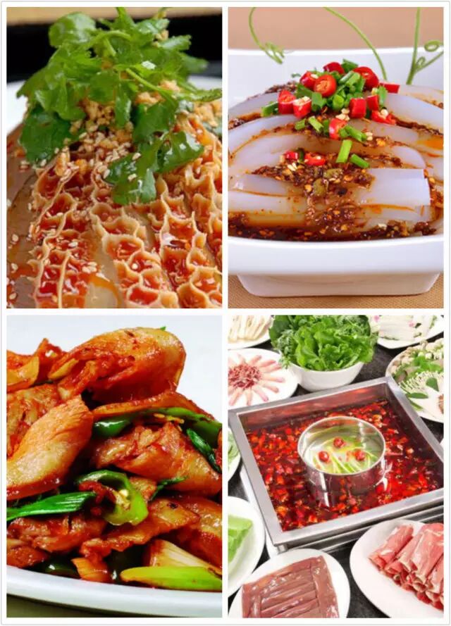 成都省体育馆地铁站是几号线_成都哪个省_成都省级示范性高中有哪些