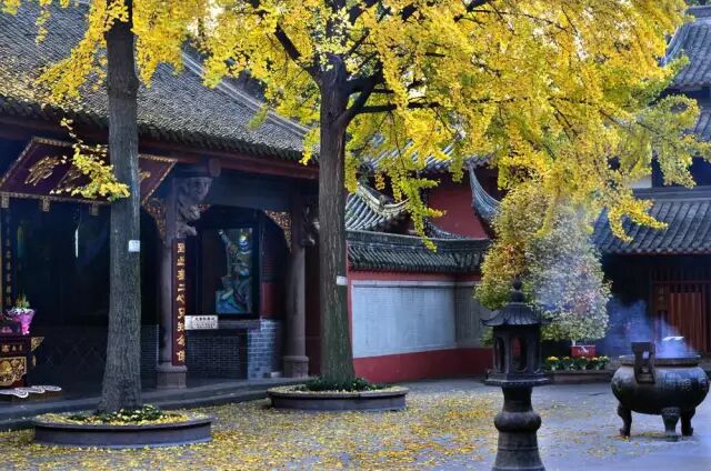 成都省级示范性高中有哪些_成都省体育馆地铁站是几号线_成都哪个省