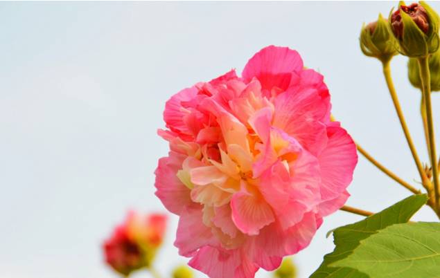 成都哪个省_成都省体育馆地铁站是几号线_成都省级示范性高中有哪些